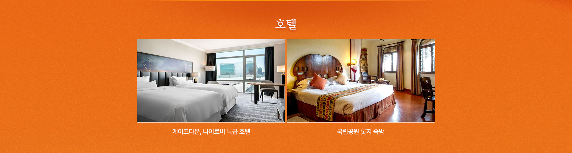컨텐츠