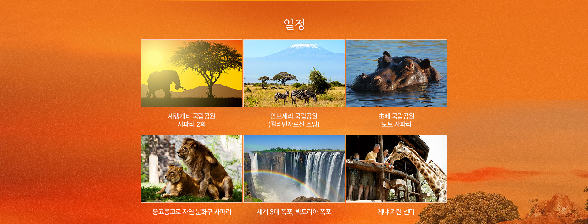 컨텐츠