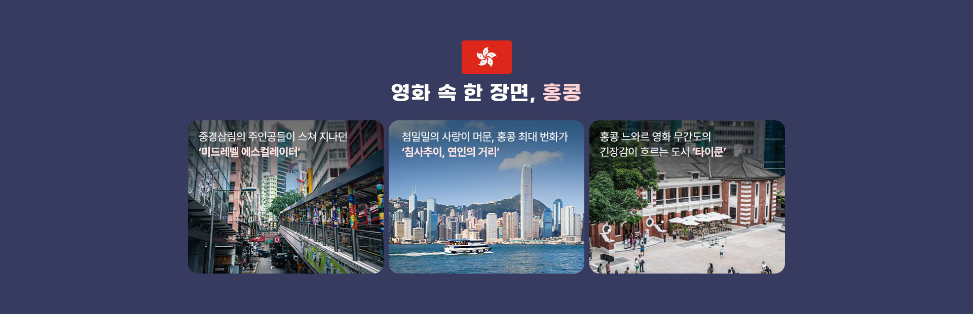 컨텐츠
