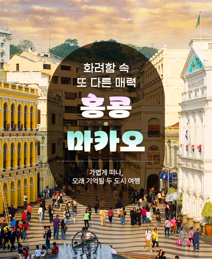 컨텐츠