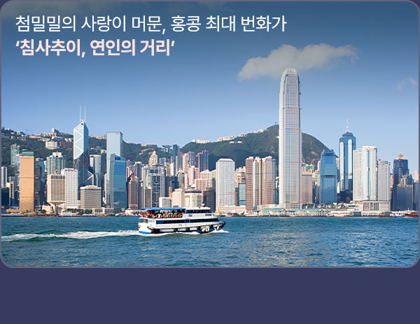 컨텐츠