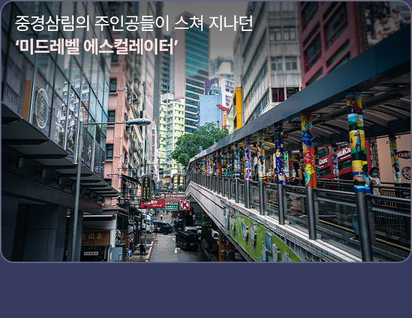 컨텐츠