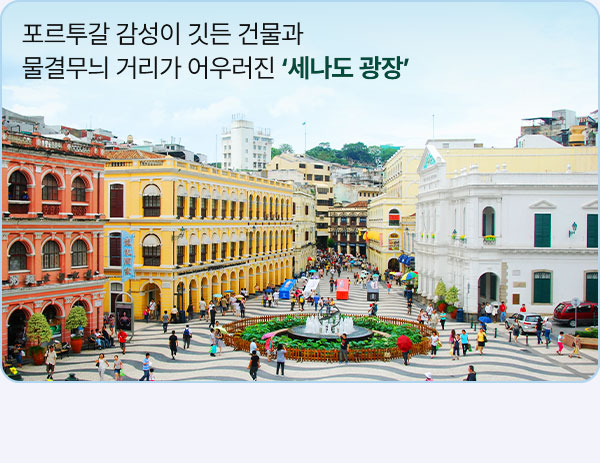 컨텐츠