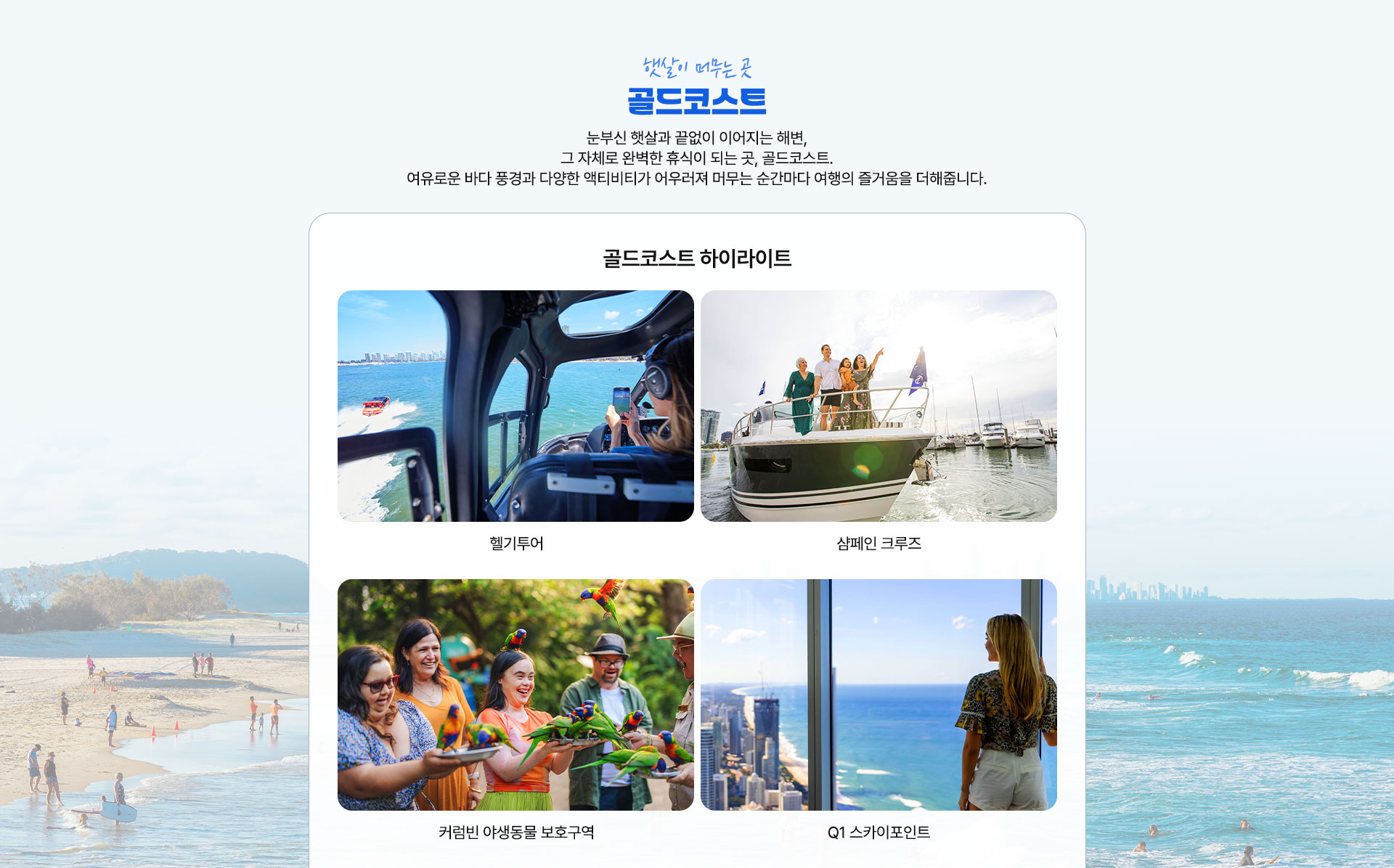 기획전 이미지