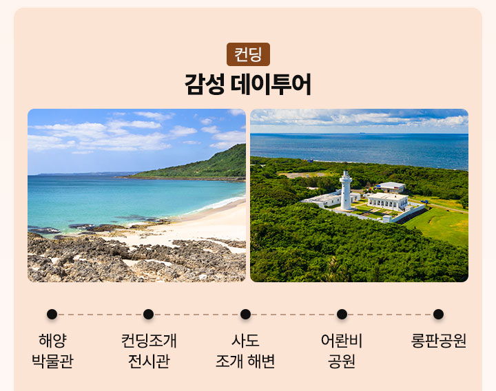 컨텐츠