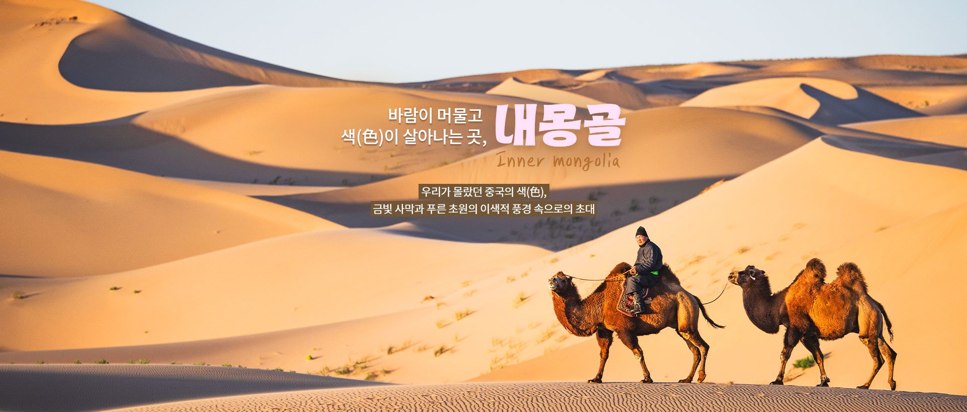 상단2