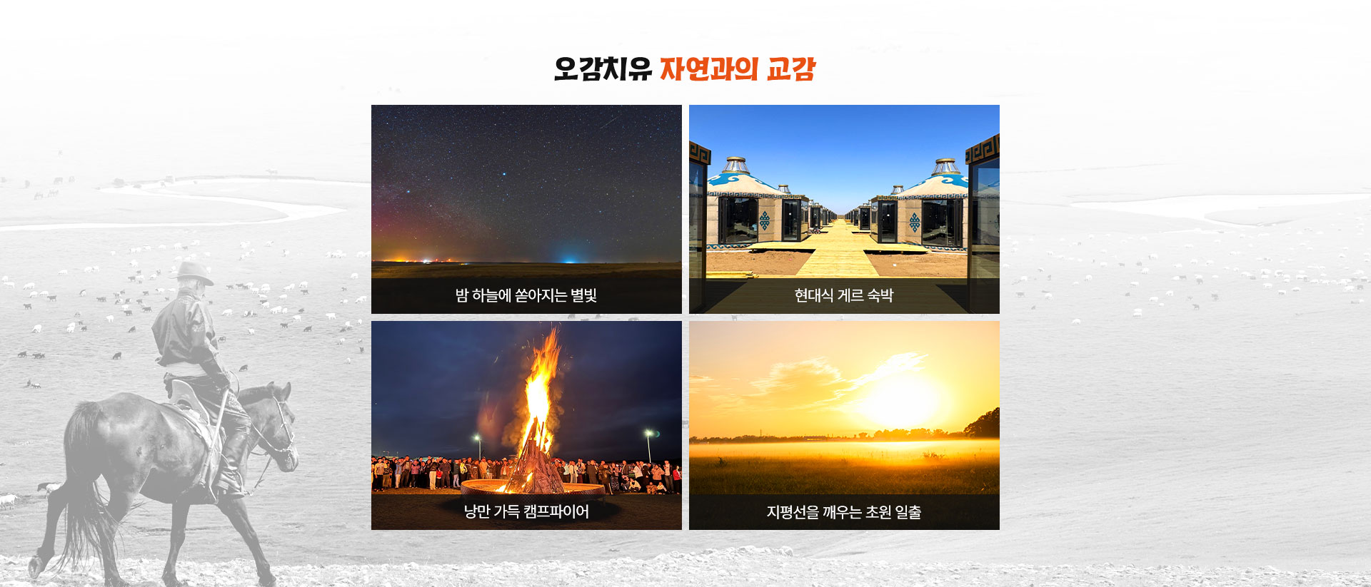 기획전/이벤트