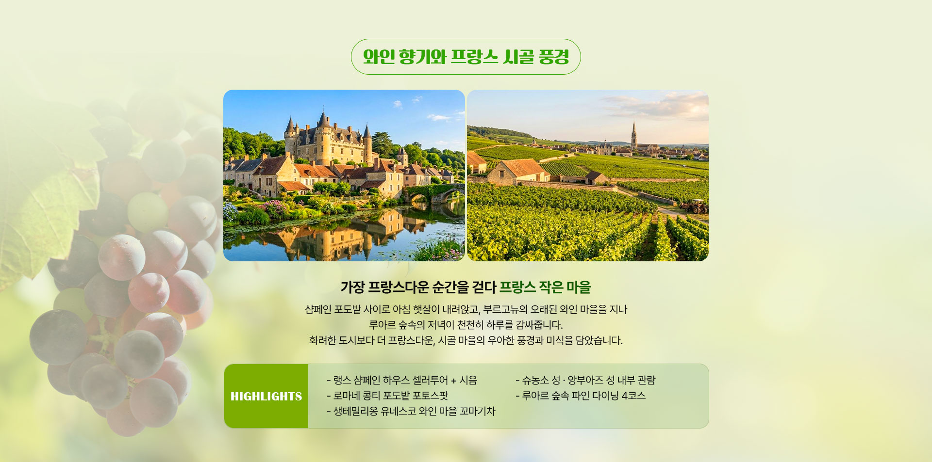 기획전/이벤트