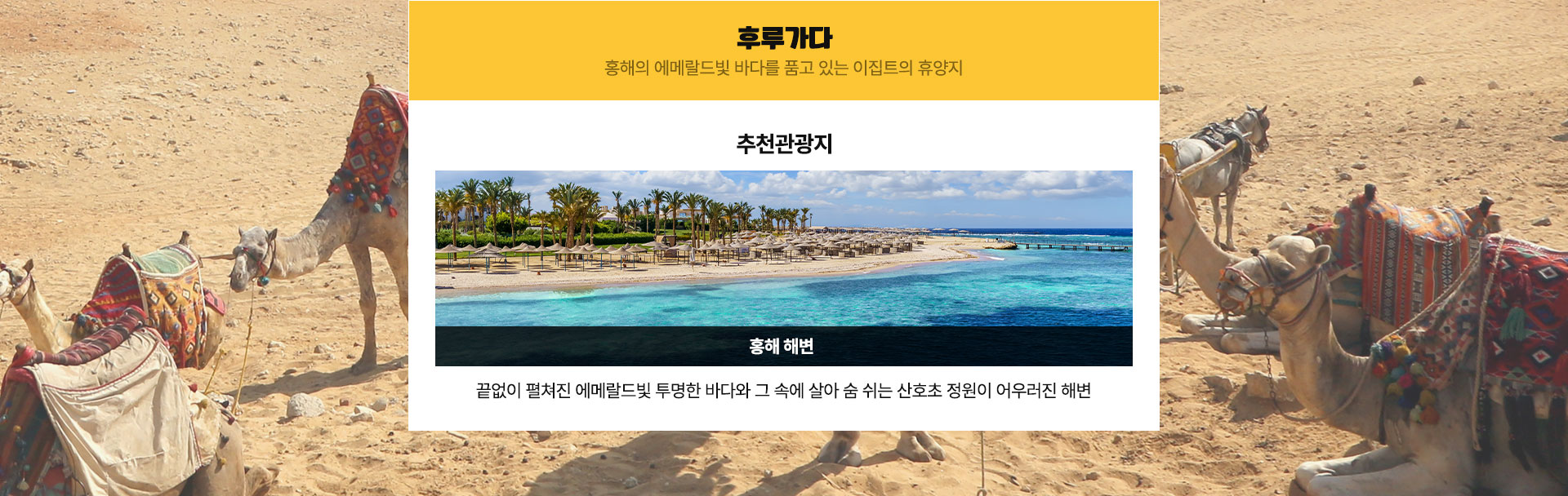 기획전이미지 7