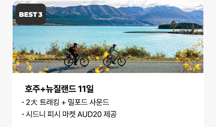 컨텐츠