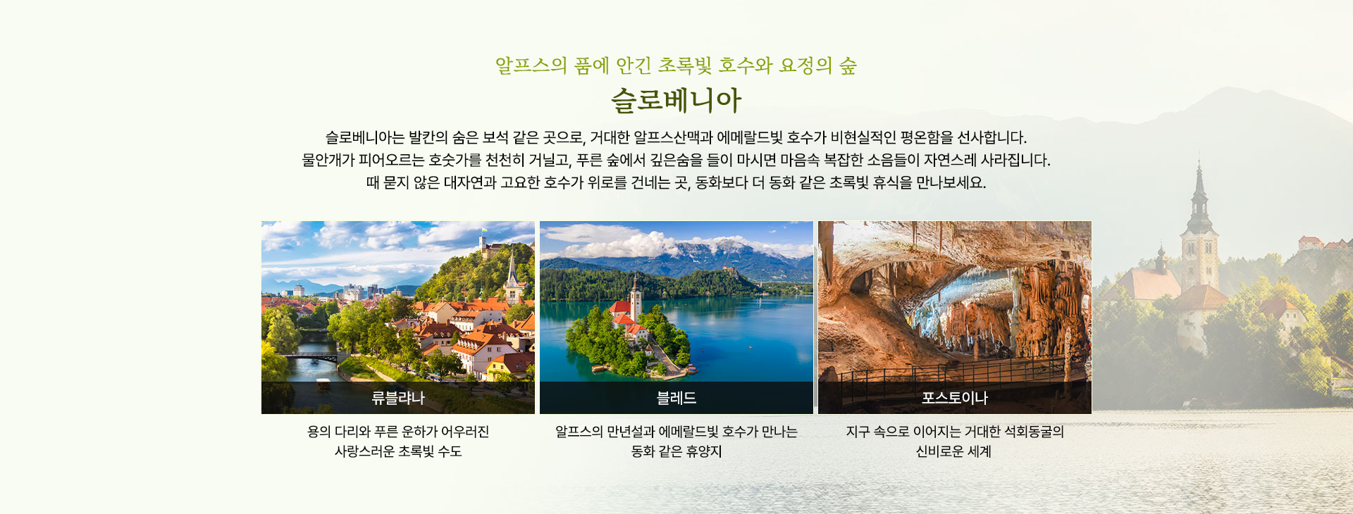 컨텐츠