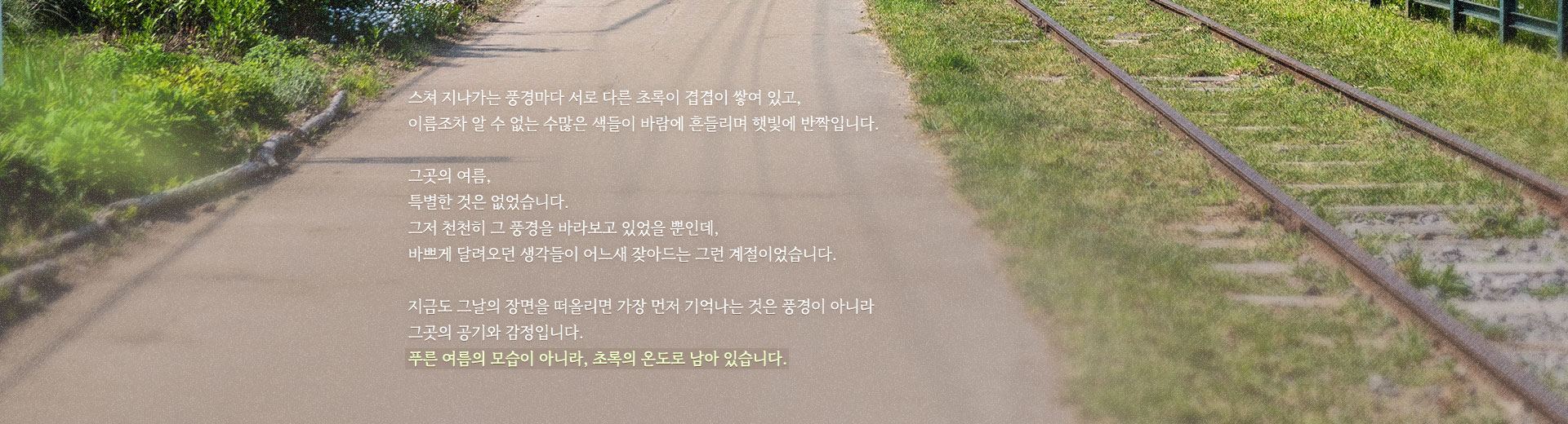 컨텐츠