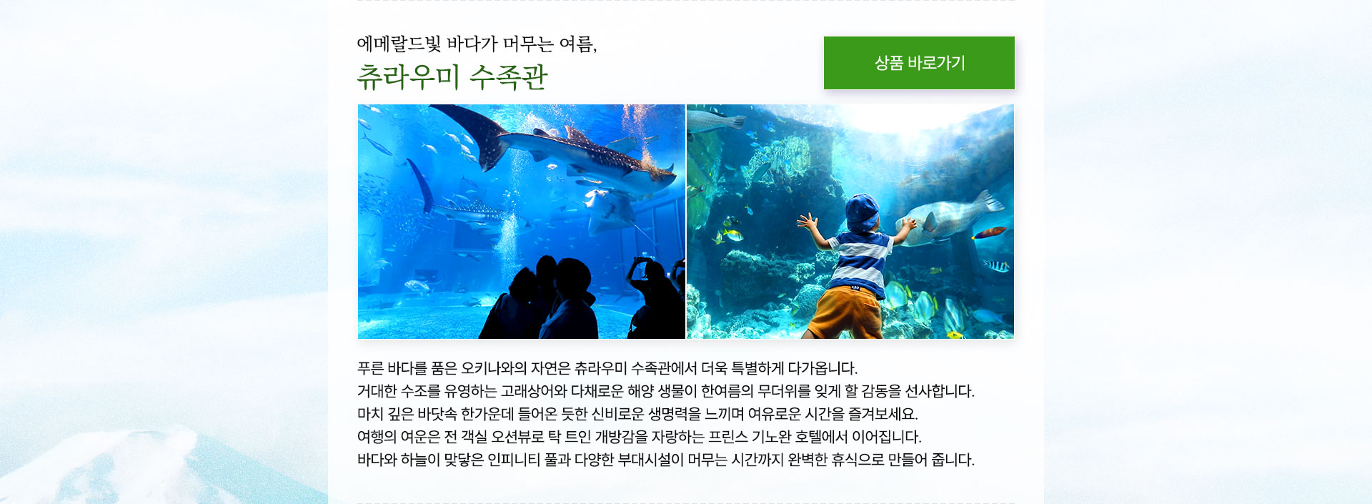 컨텐츠