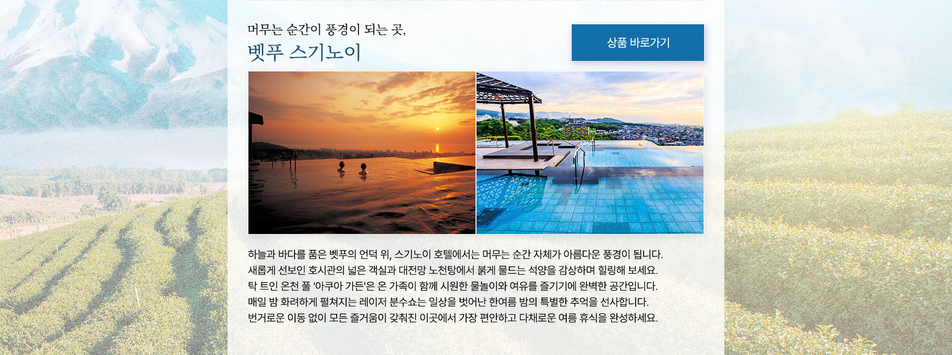 컨텐츠