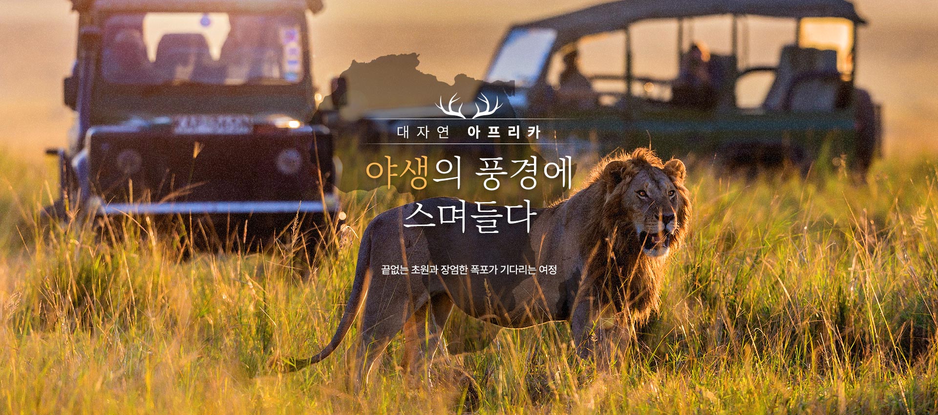 상단1