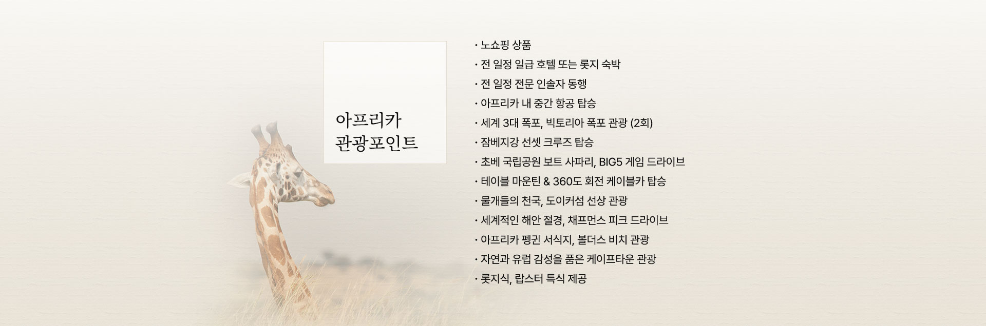 기획전/이벤트