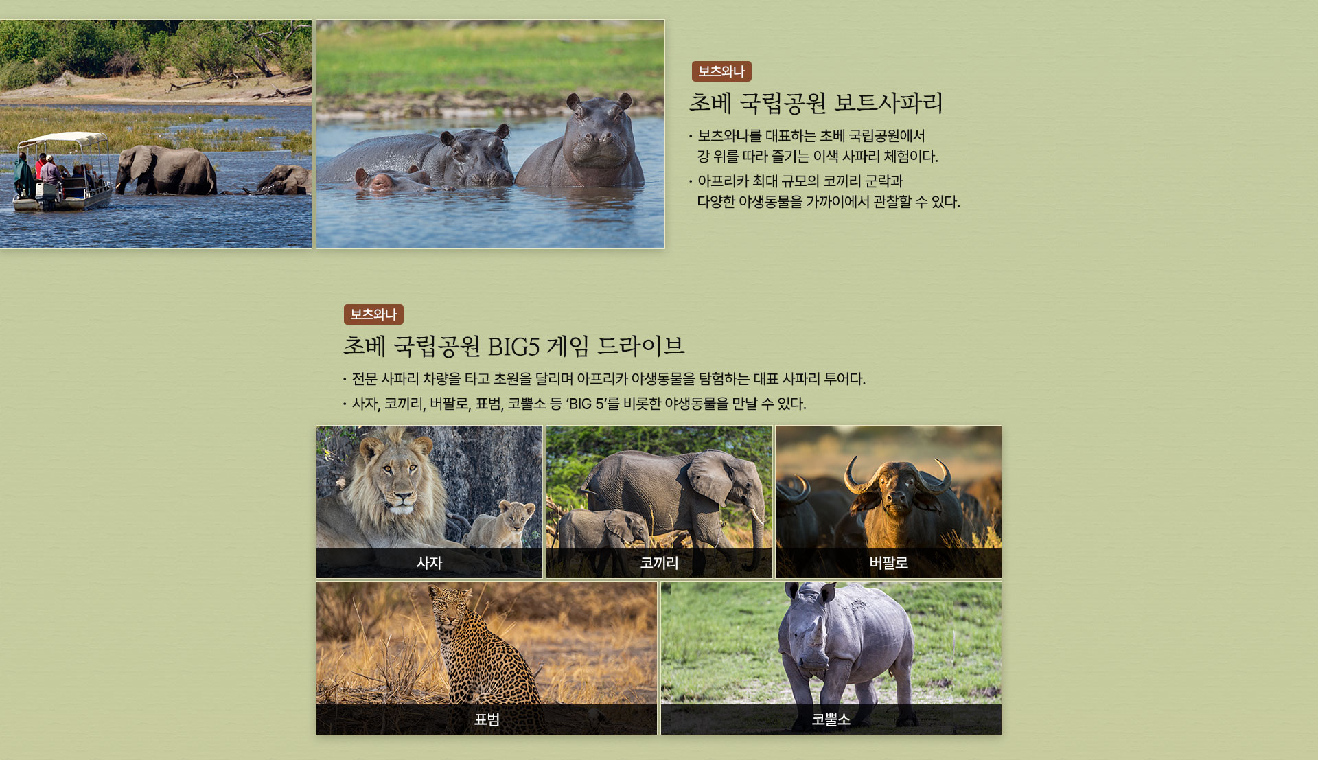 기획전/이벤트