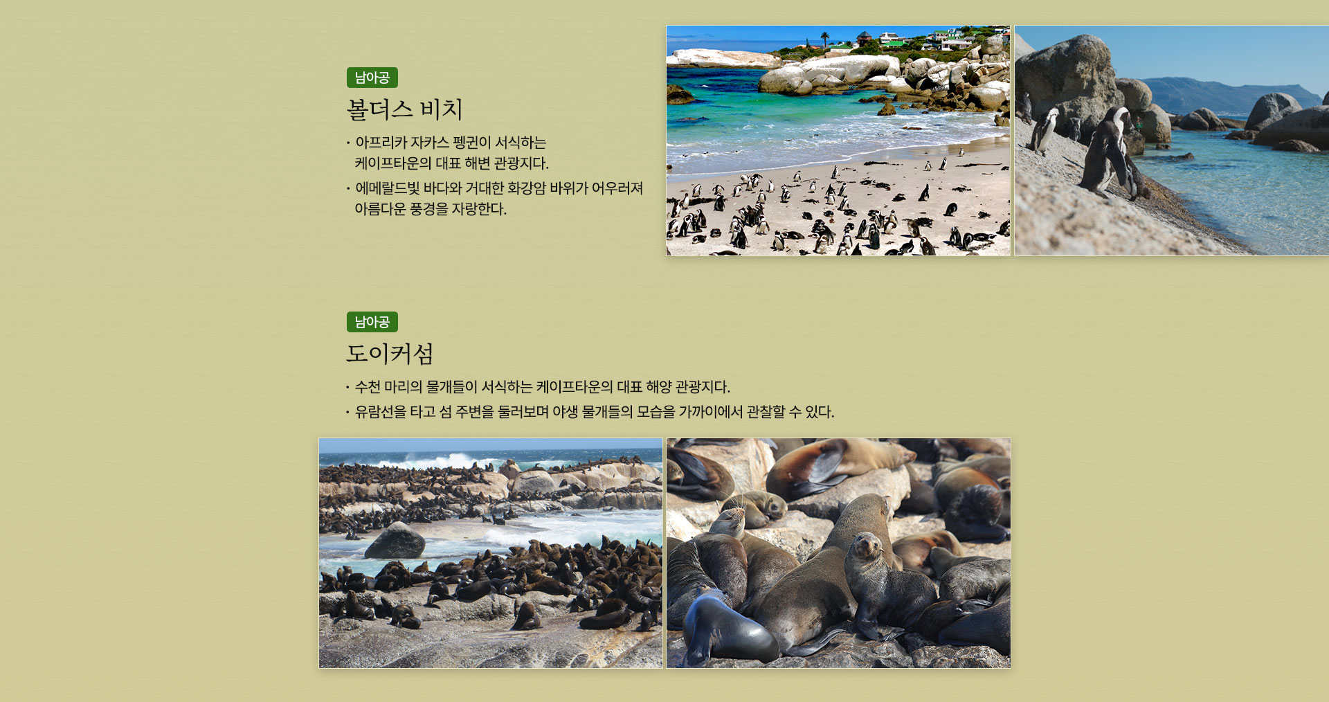 기획전/이벤트