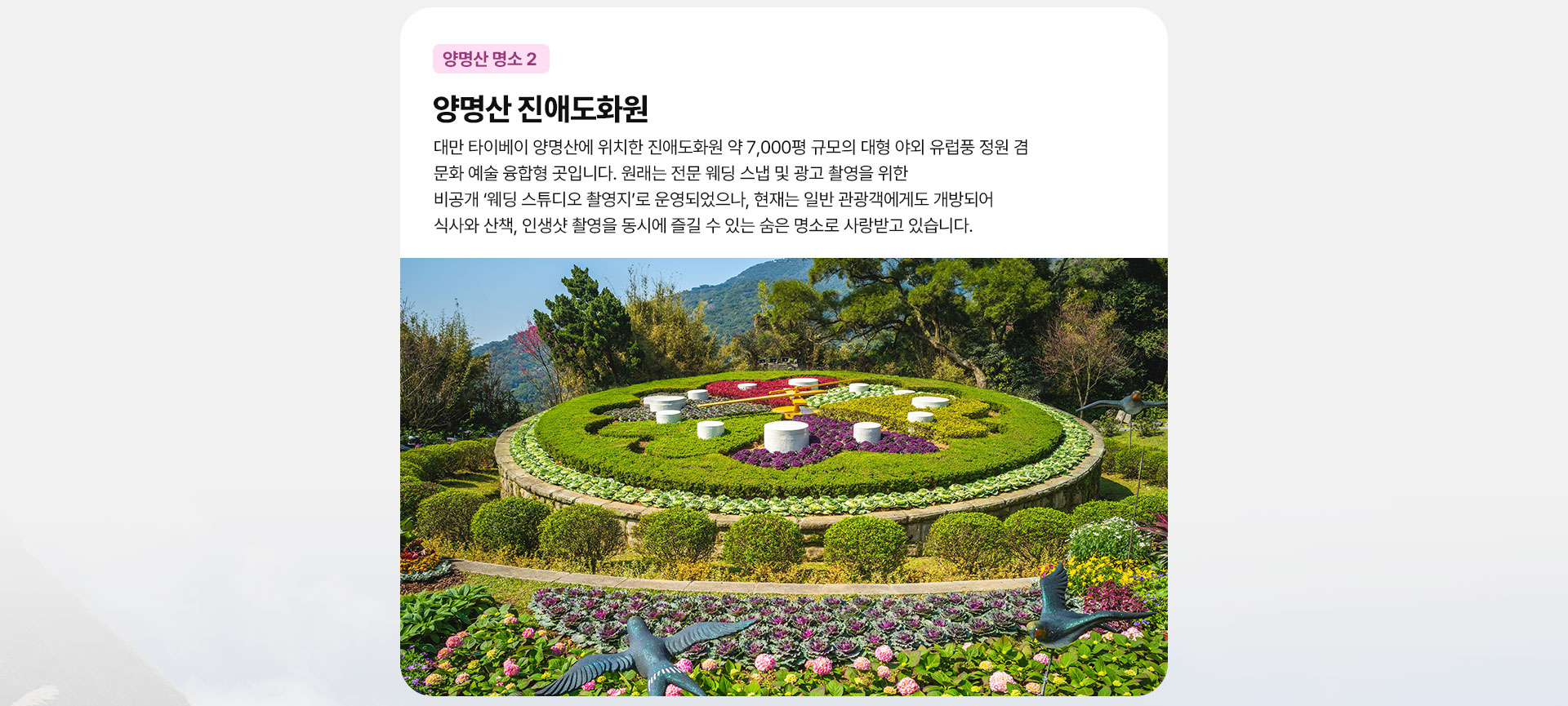 컨텐츠