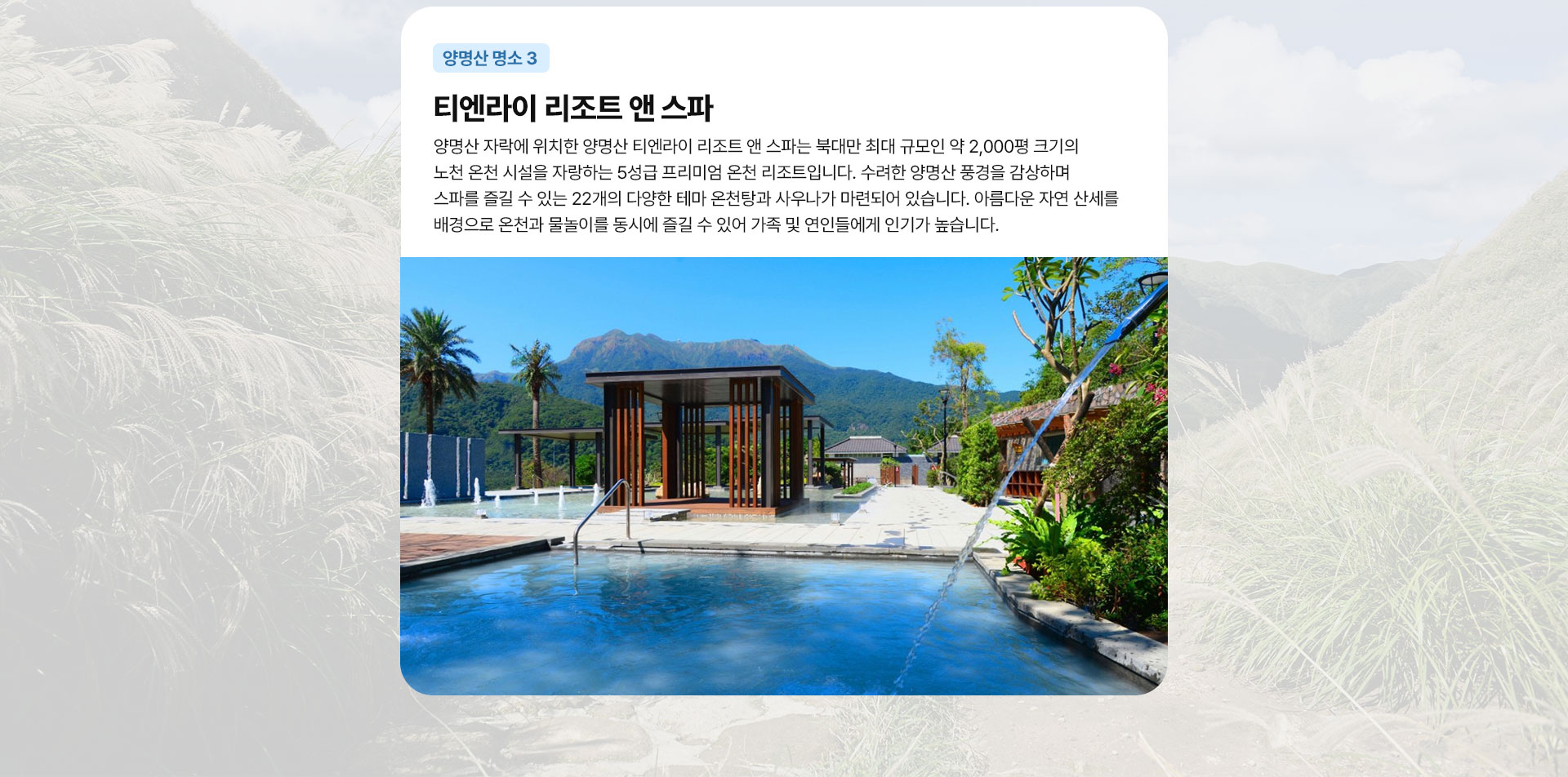 컨텐츠