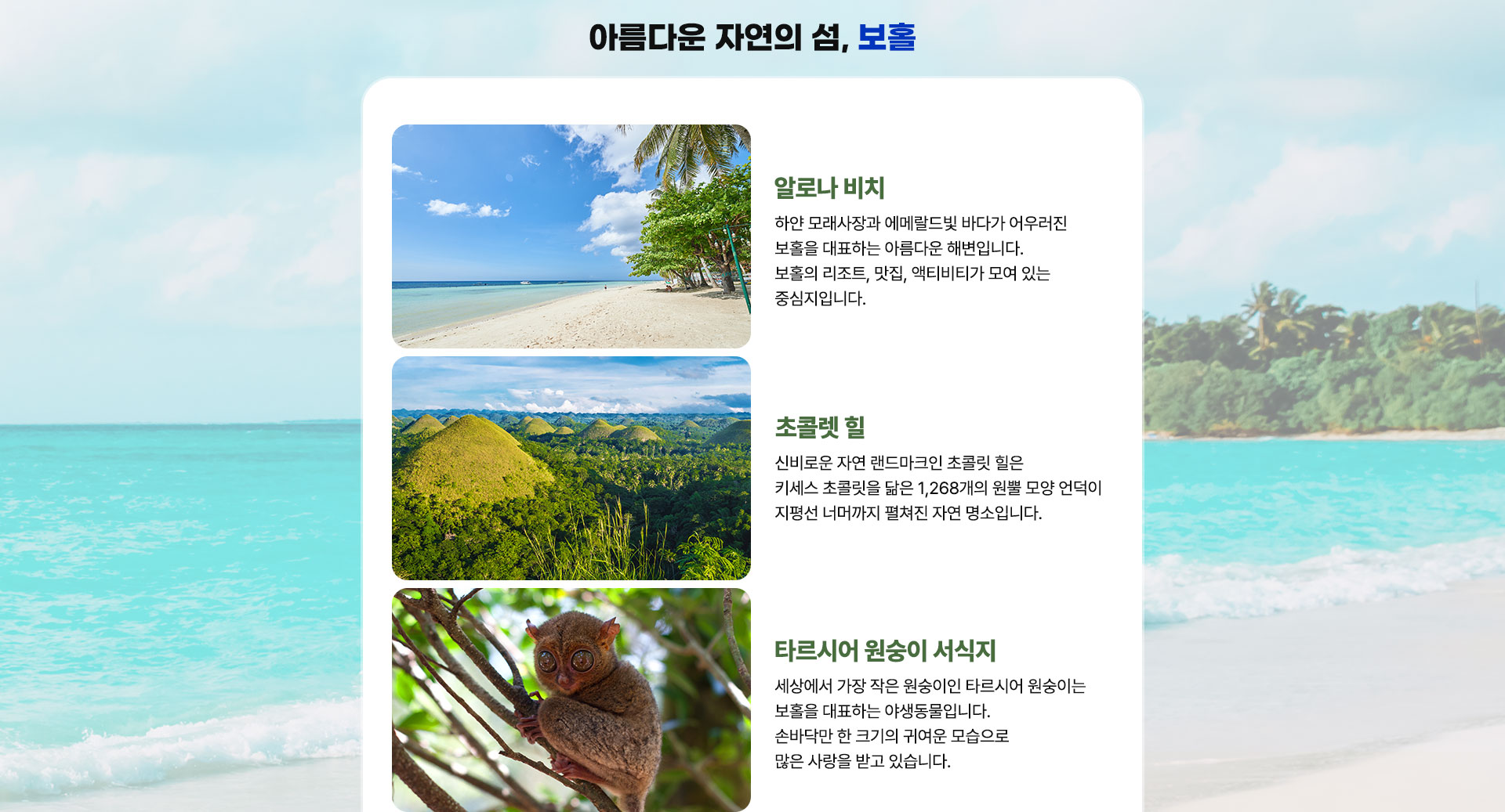 컨텐츠