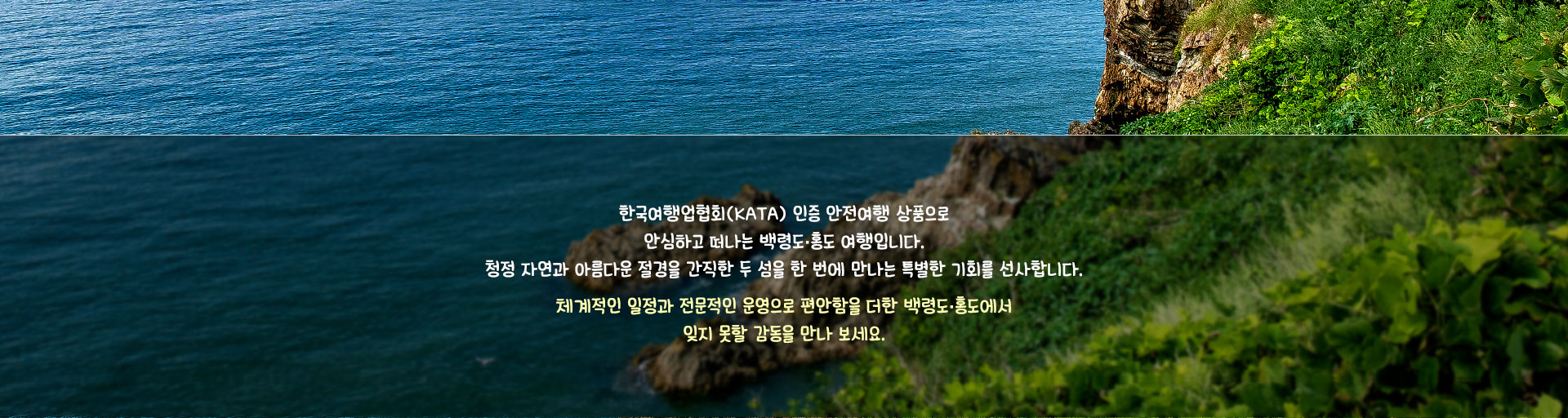 컨텐츠