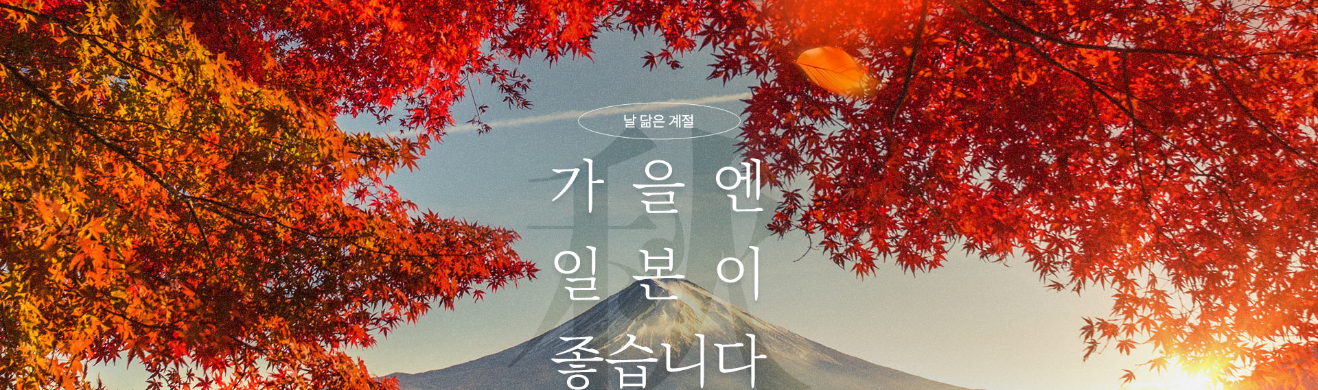 컨텐츠
