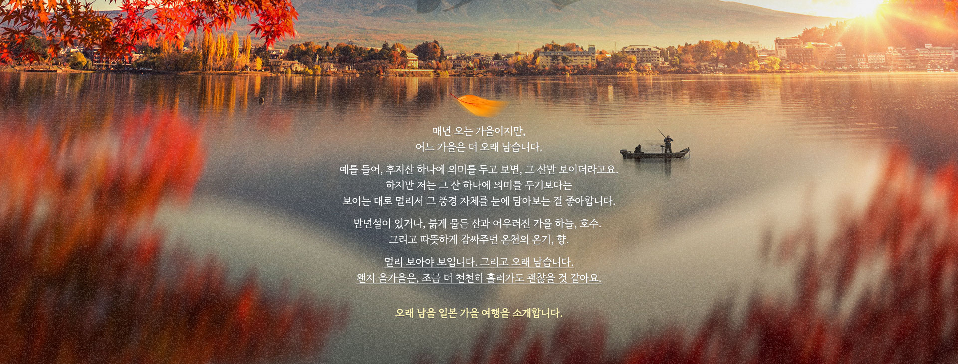 컨텐츠