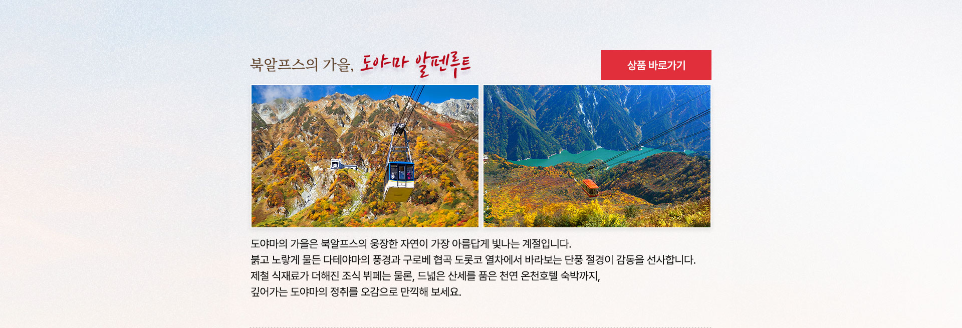 컨텐츠