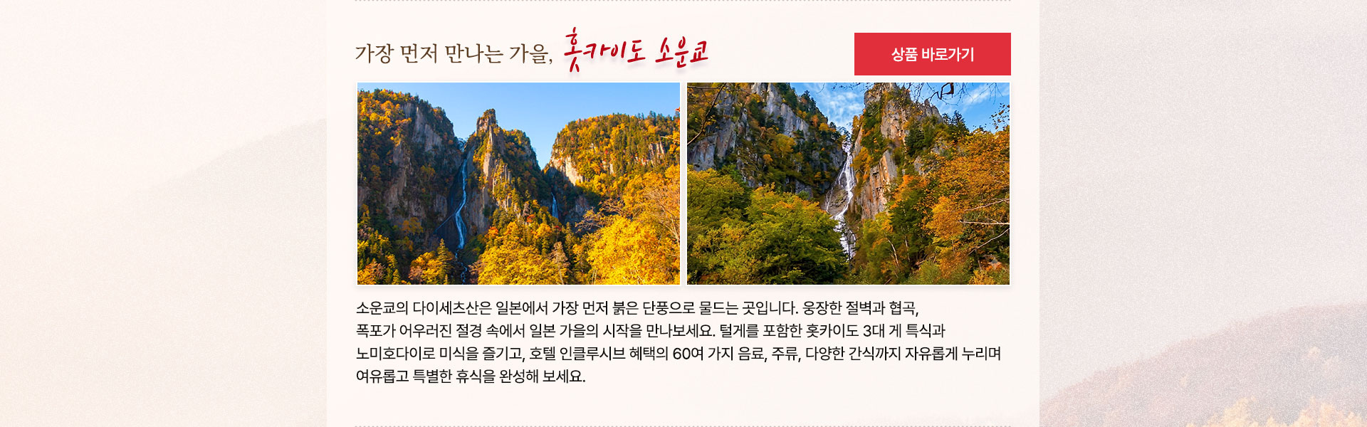 컨텐츠