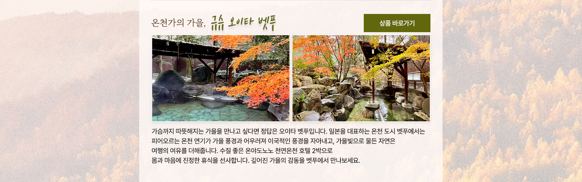 컨텐츠