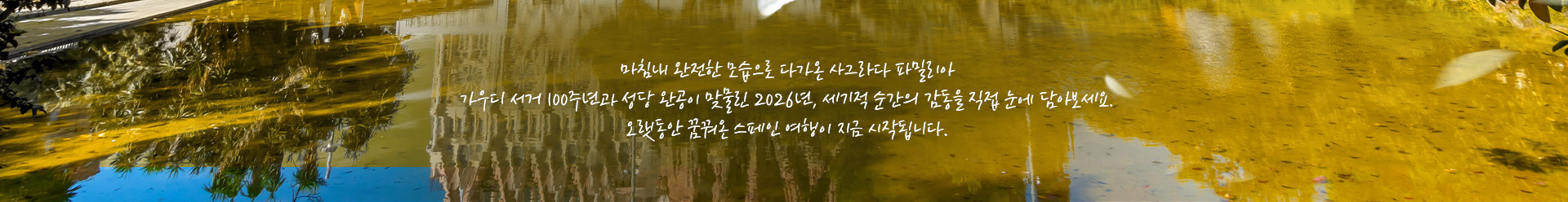 컨텐츠