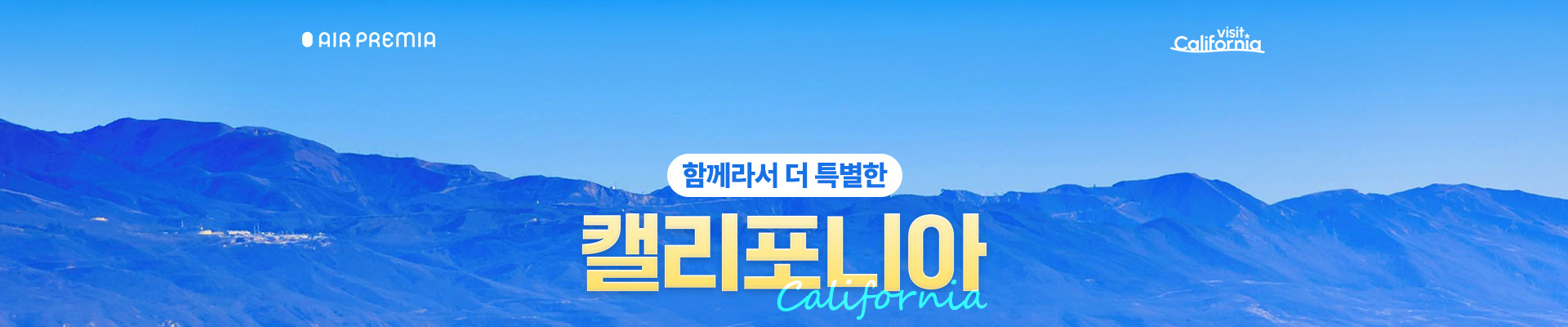 컨텐츠