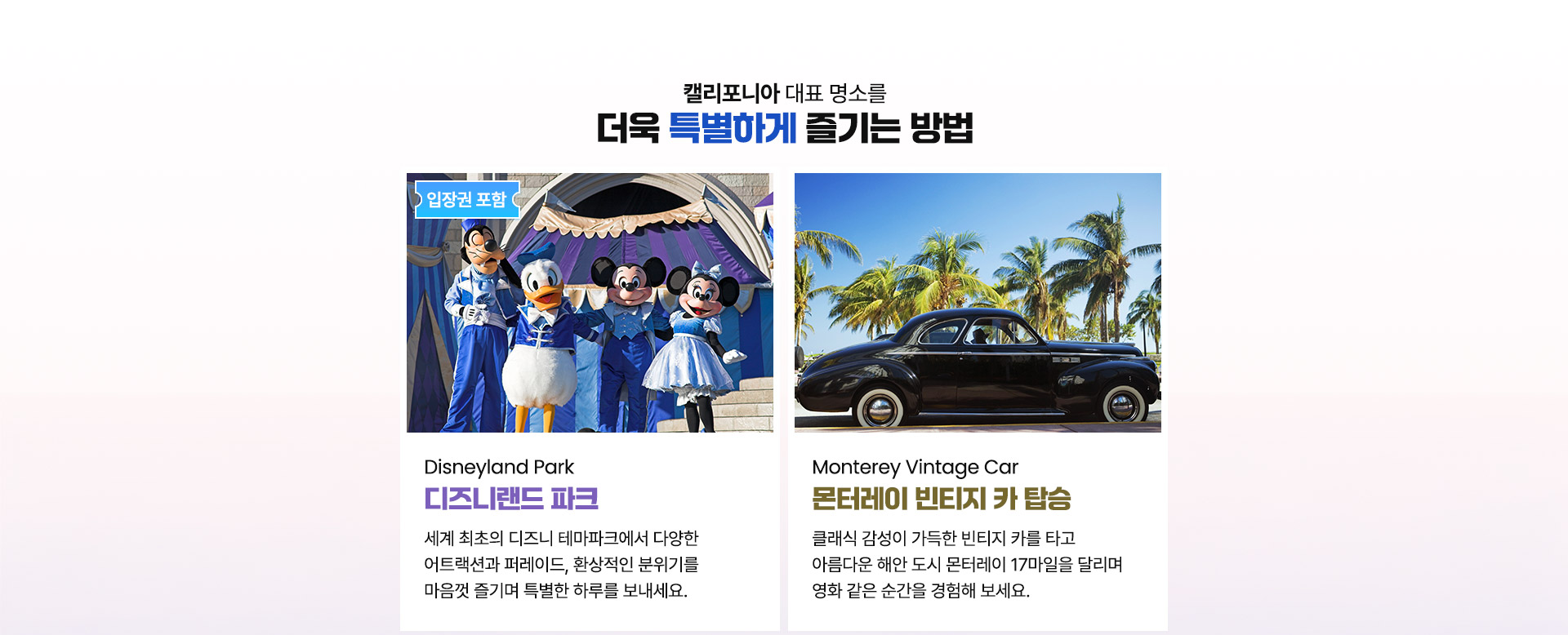 컨텐츠