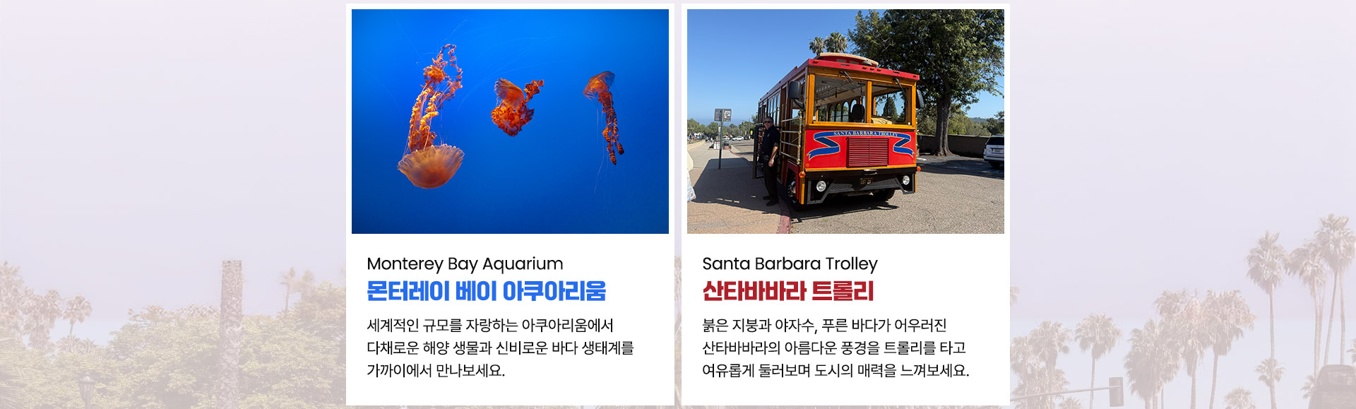 컨텐츠