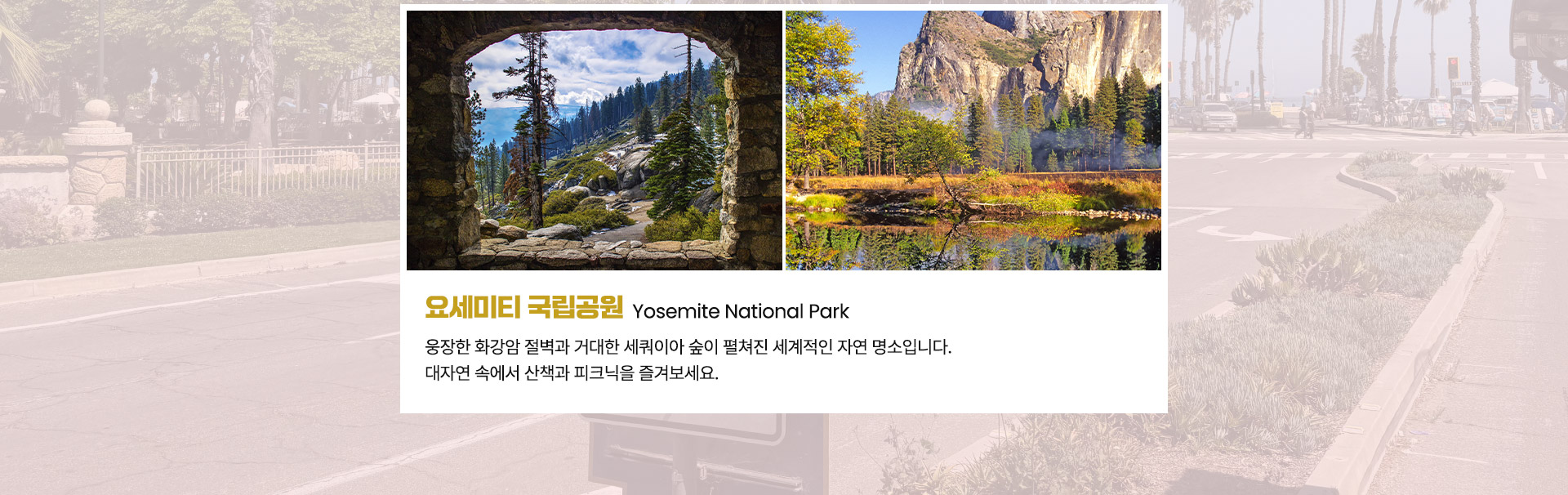 컨텐츠