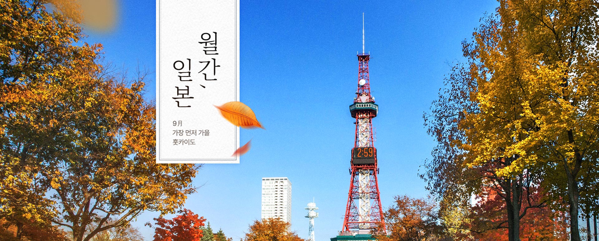 컨텐츠