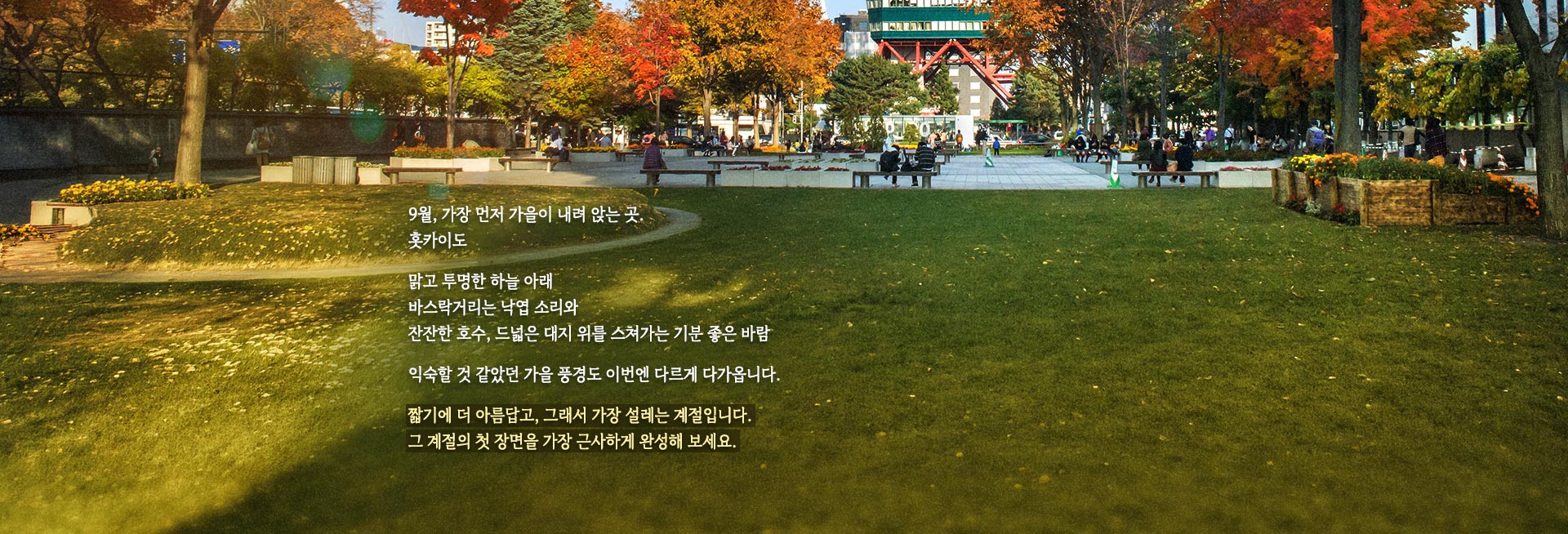 컨텐츠