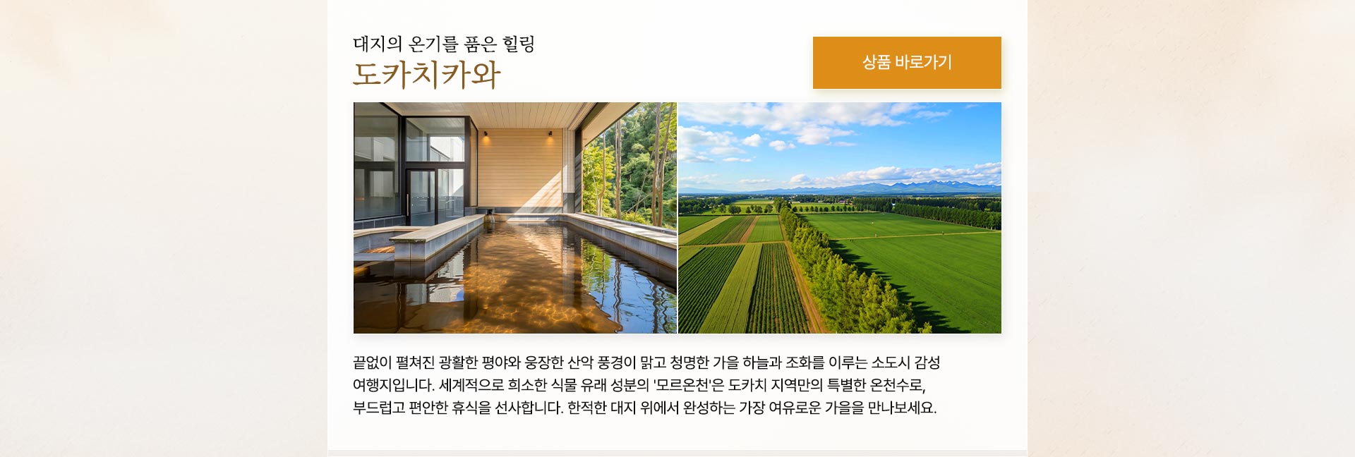 컨텐츠