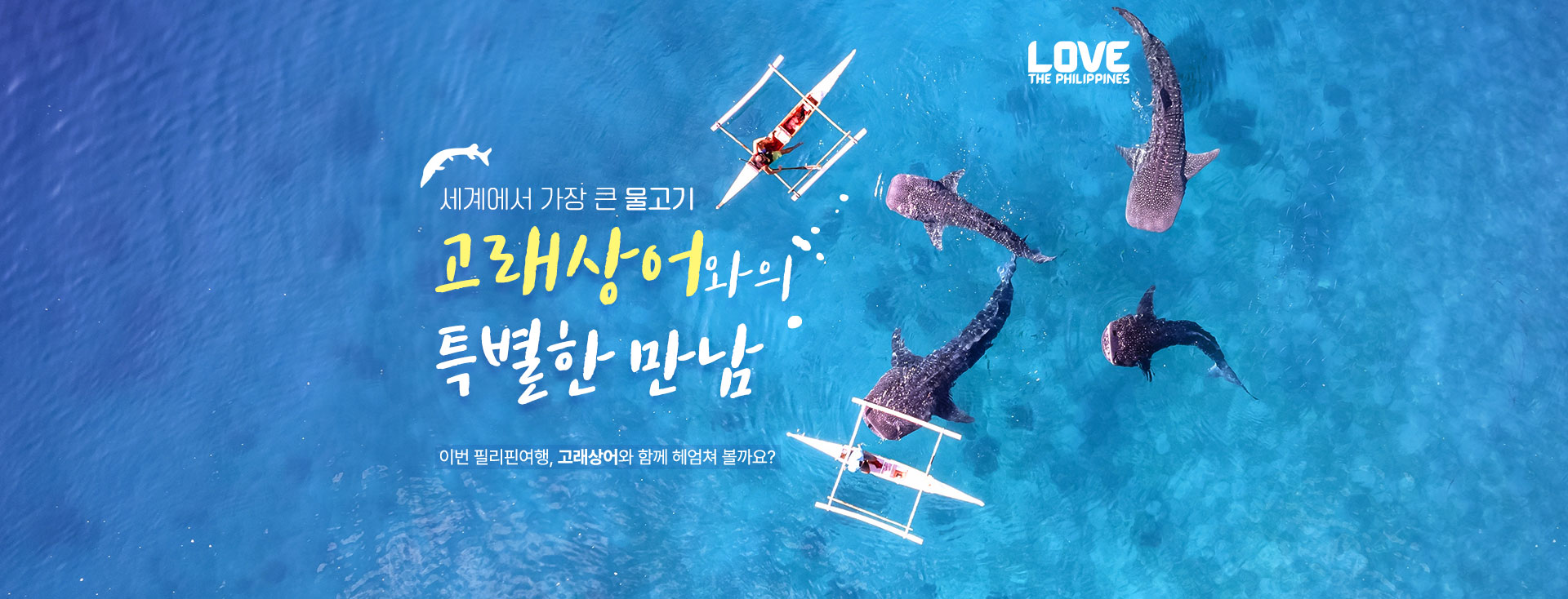 컨텐츠