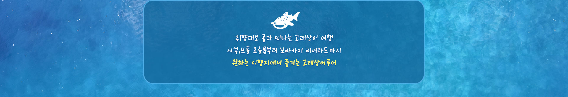 컨텐츠