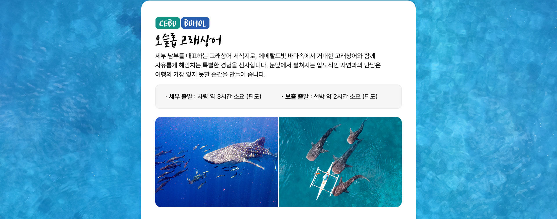 컨텐츠
