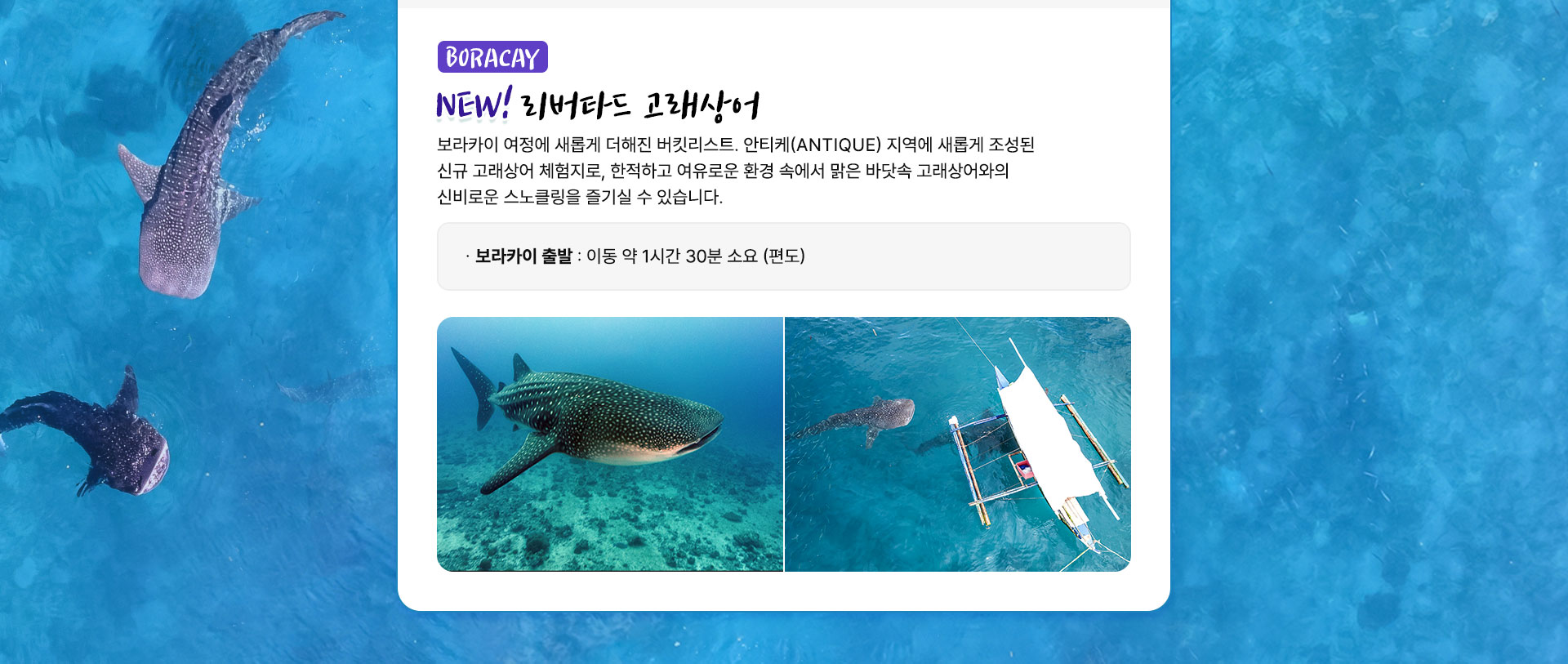 컨텐츠