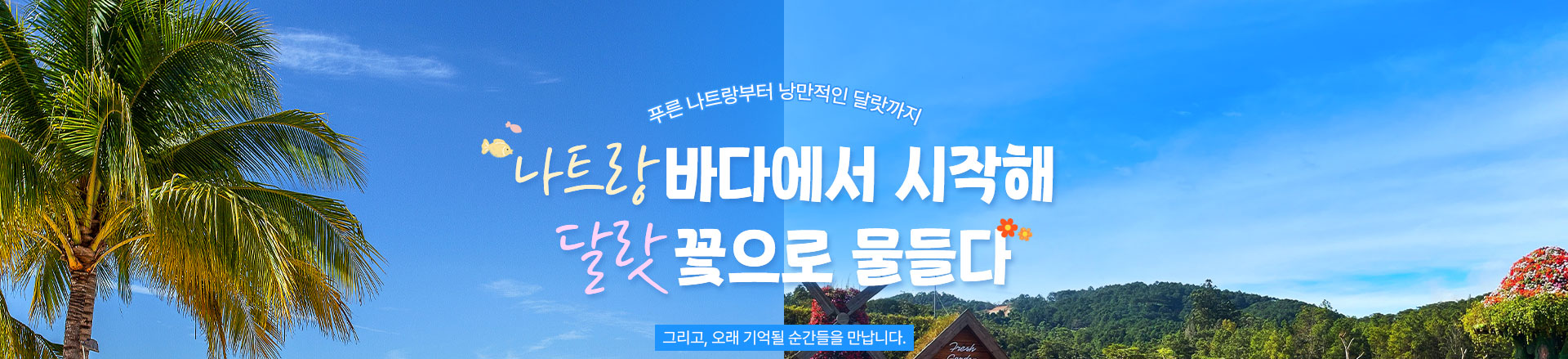 컨텐츠