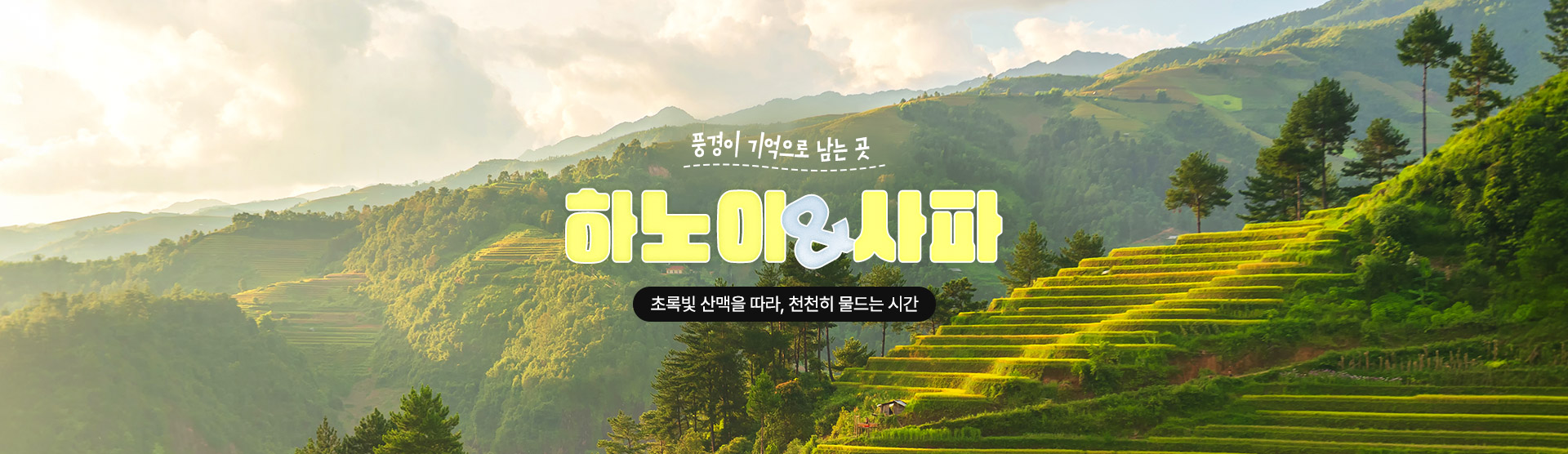 컨텐츠