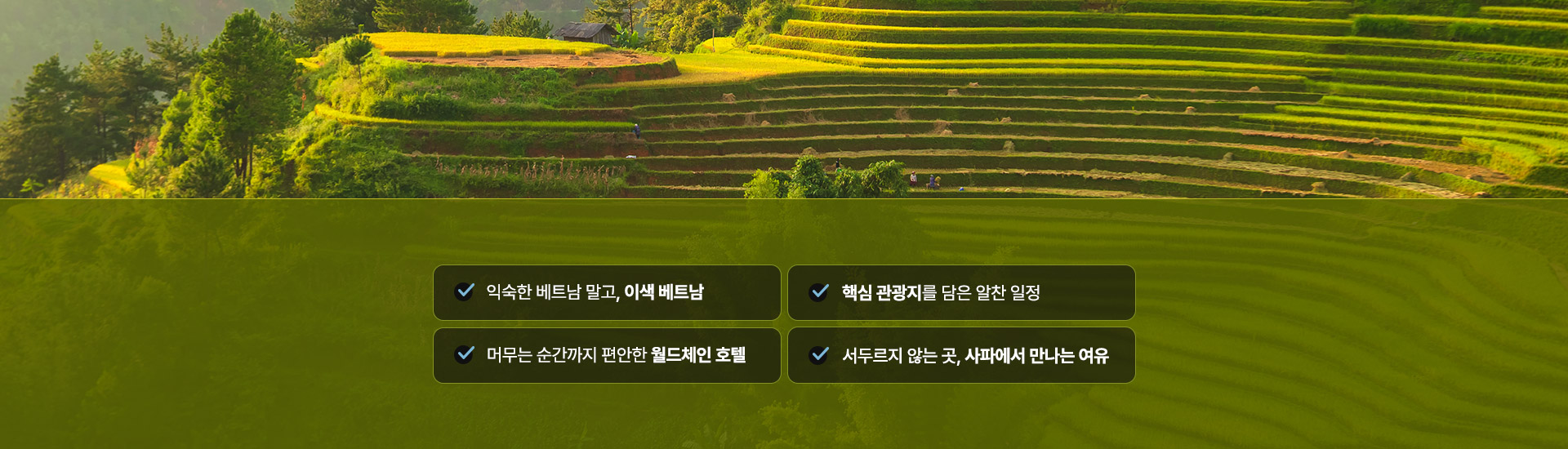 컨텐츠