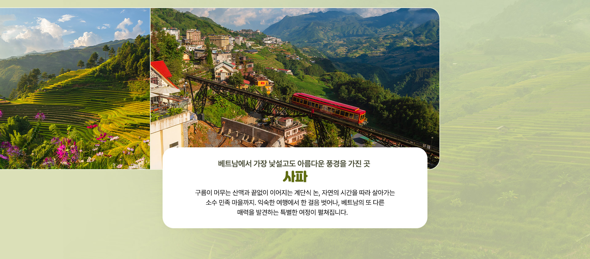 컨텐츠