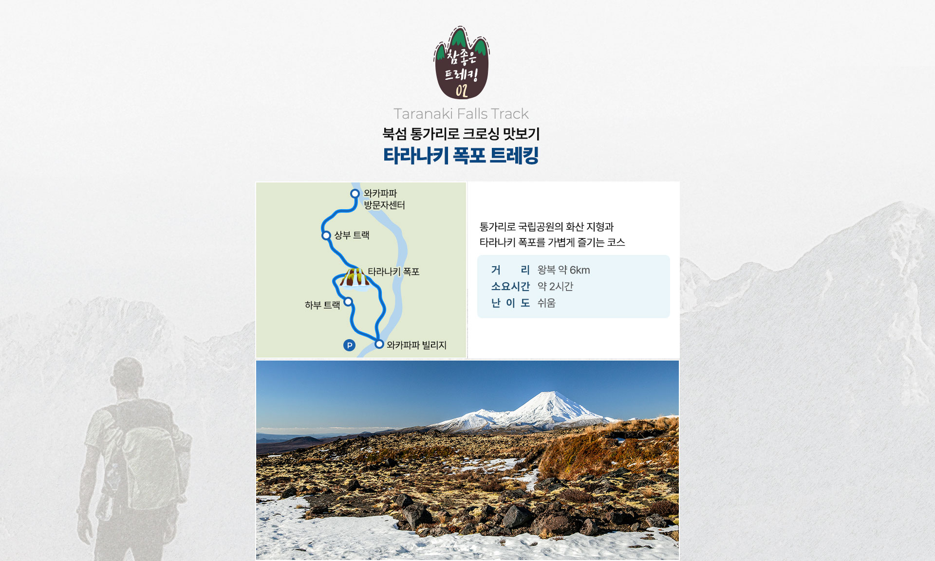 컨텐츠