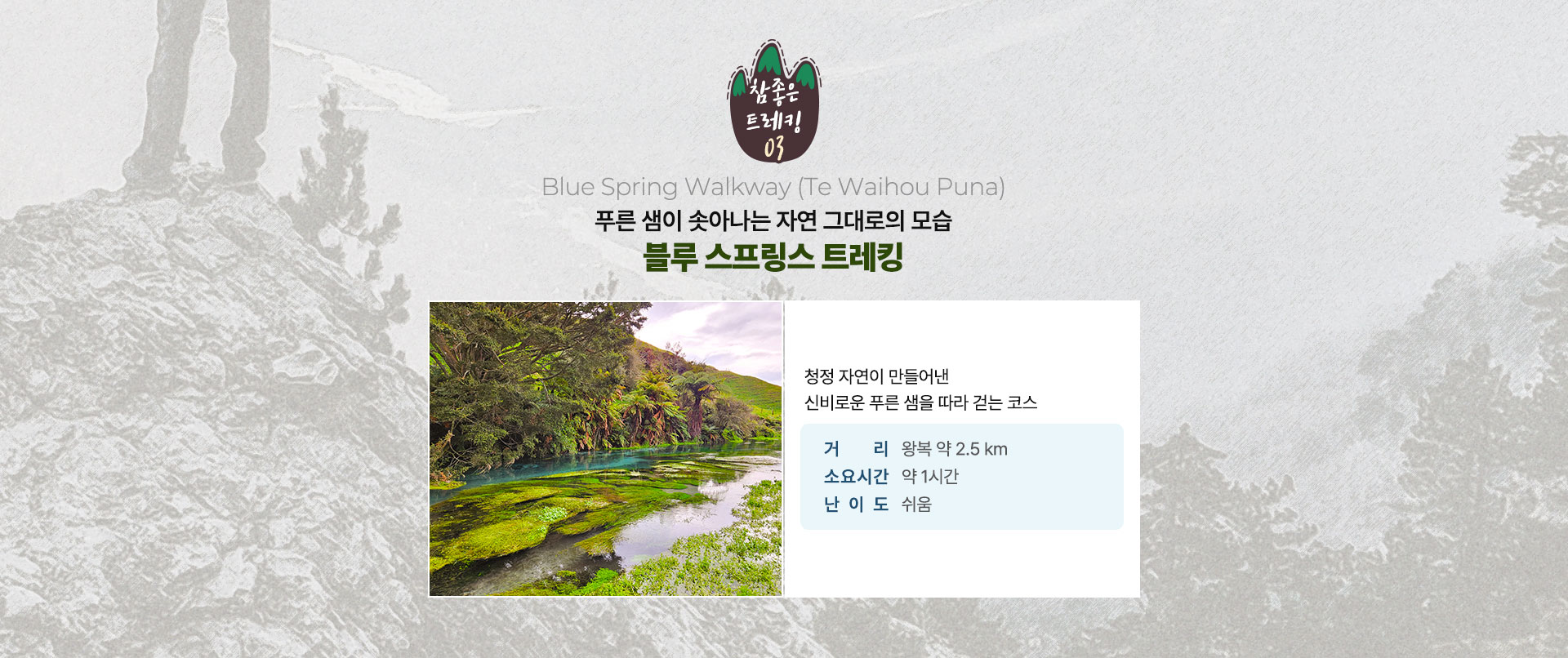 컨텐츠