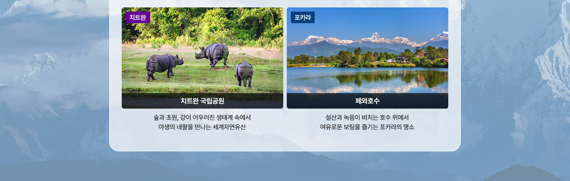 기획전/이벤트